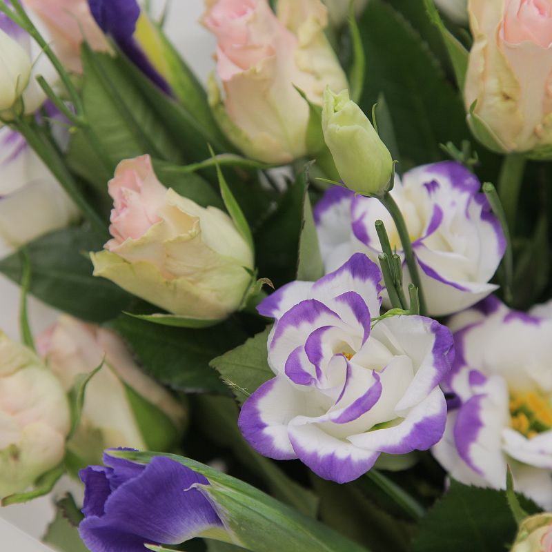 Марципан фото