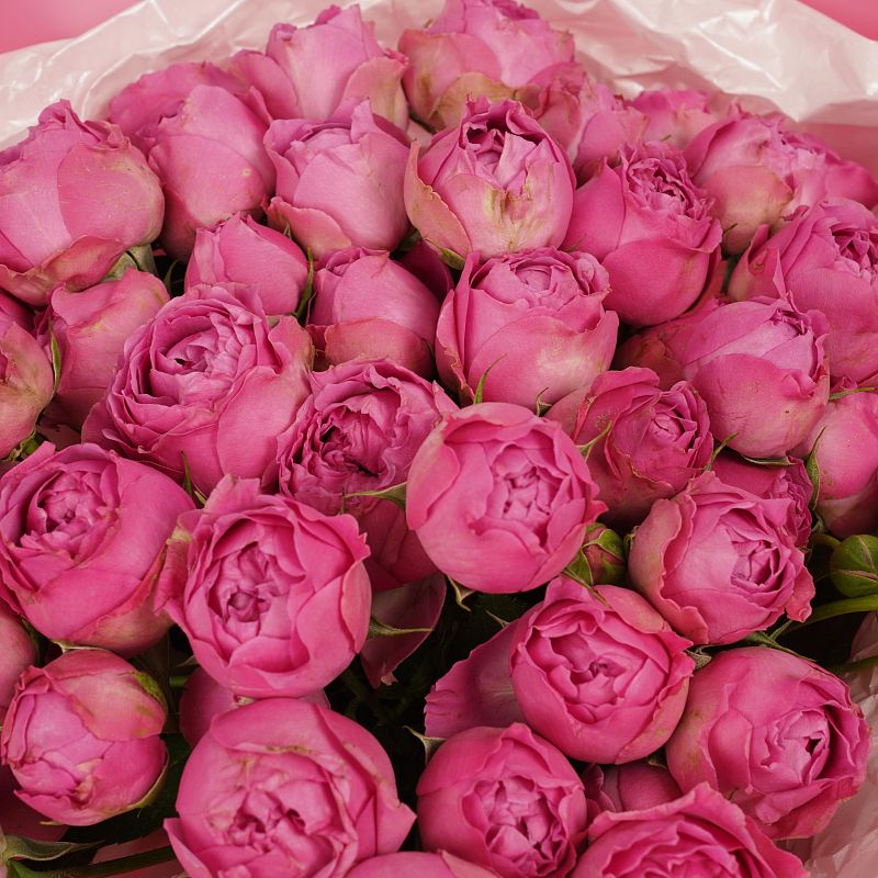 Малиновое суфле M фото