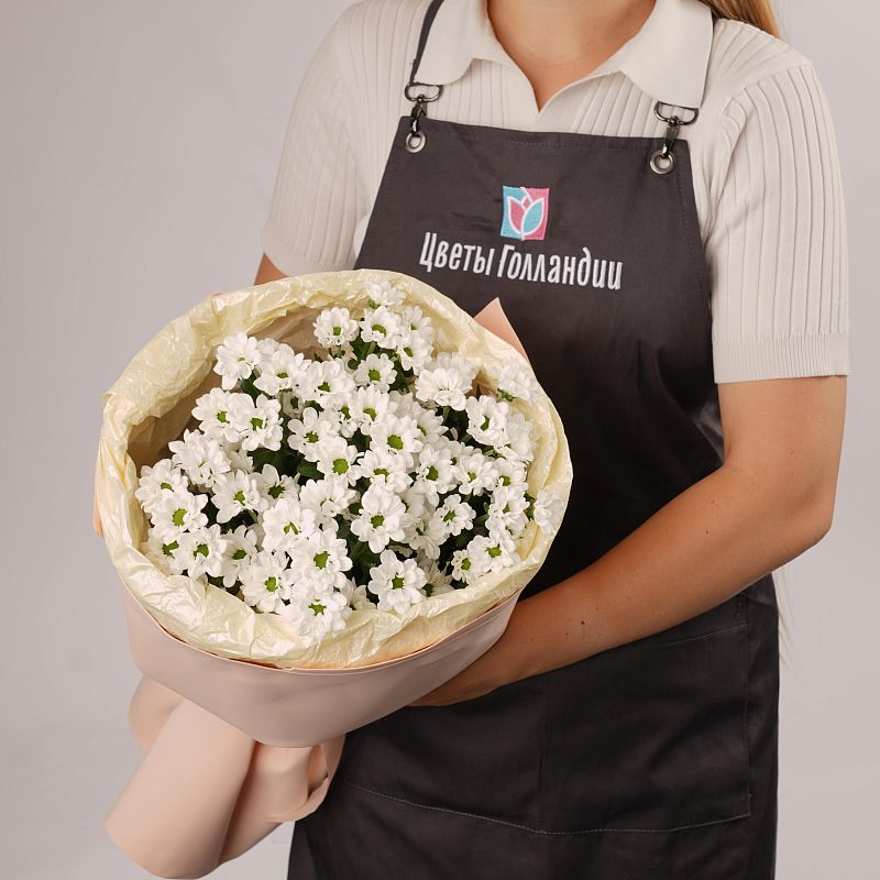 Белая нежность S фото