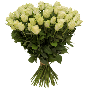 Букет белых роз Атена 50 см