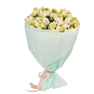 Белый лисиантус Алиса L