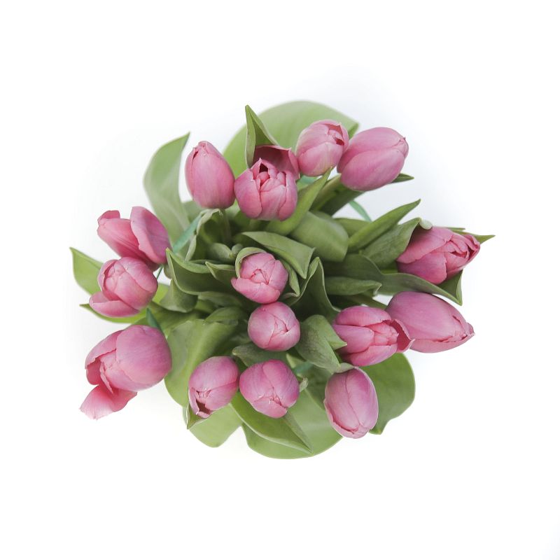 Букет розовых тюльпанов фото