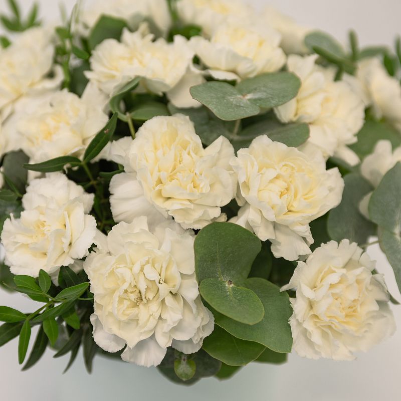 Лунный свет фото