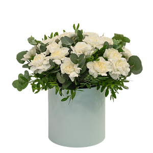 Лунный свет