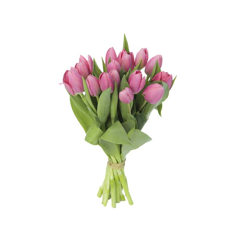 Букет розовых тюльпанов фото