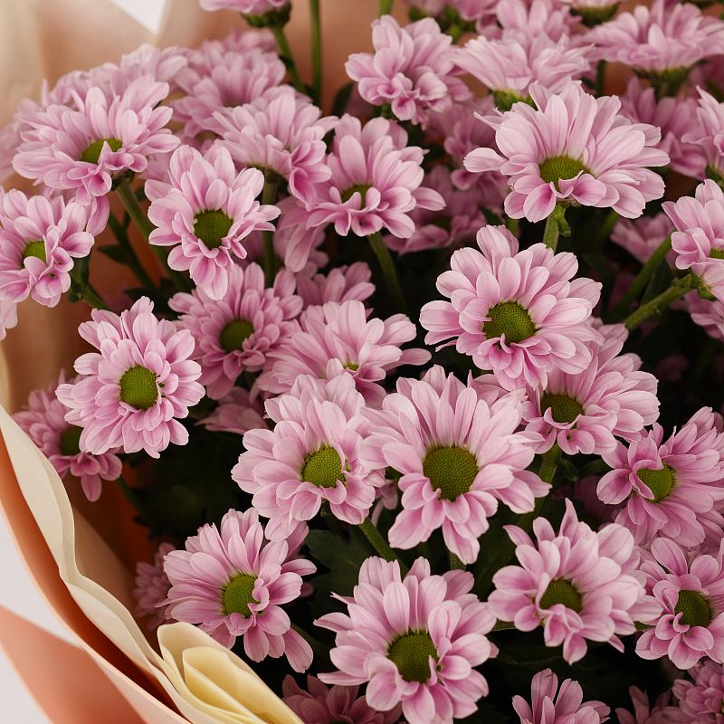 Розовая нежность S фото