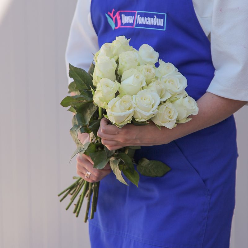 Роза Каундаун фото