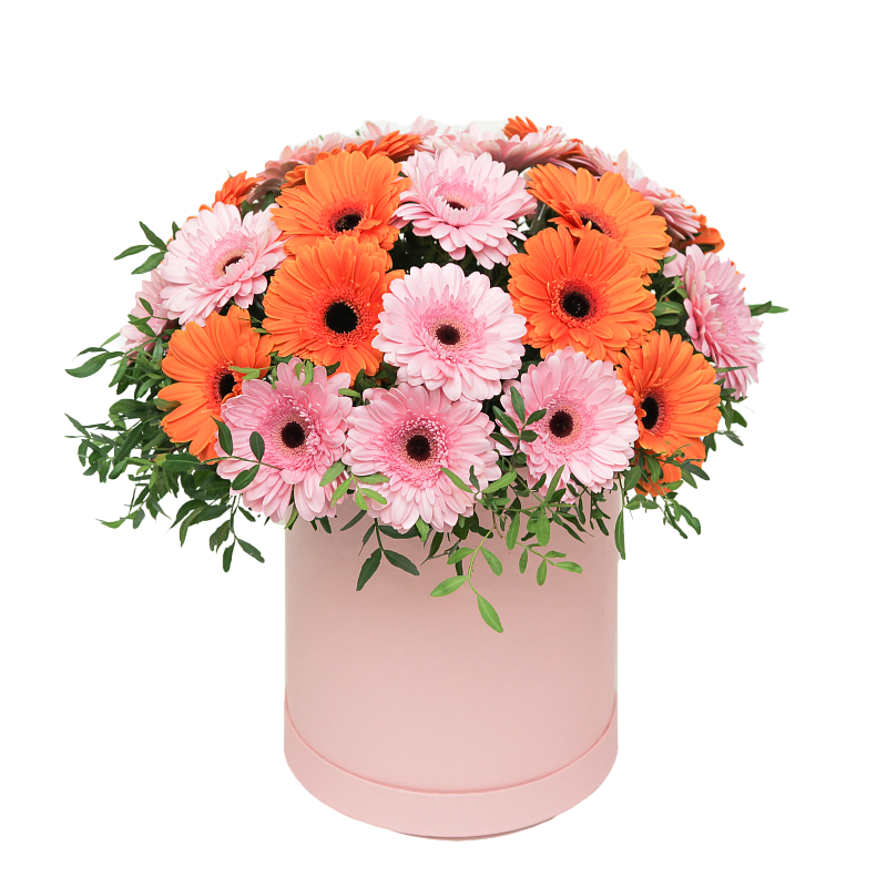 Праздник фото