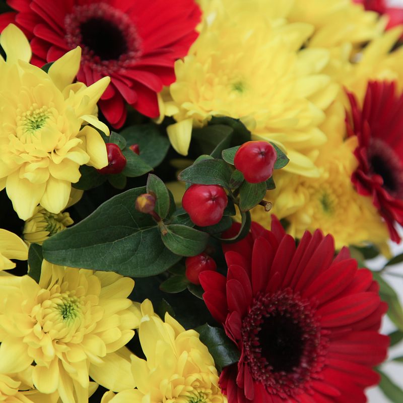 Летний день фото