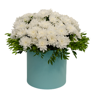 Чистая душа