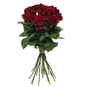 Роза Эксплорер Э