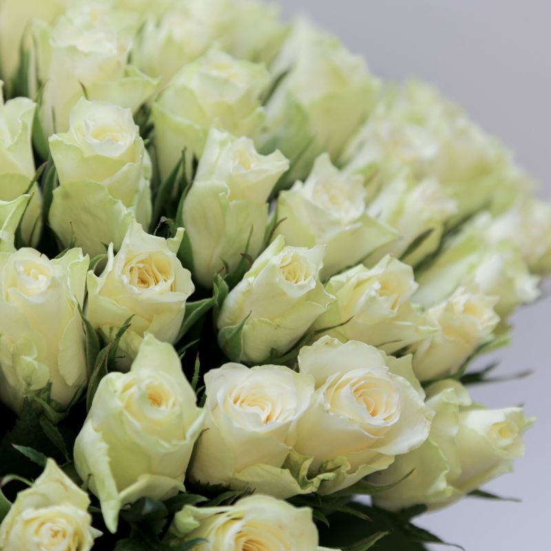 Букет белых роз Атена 35 см фото