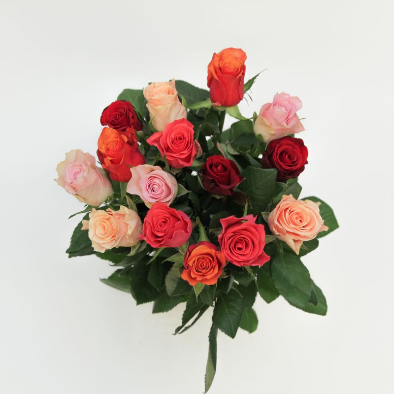 Букет из 15 разноцветных роз 60 см фото